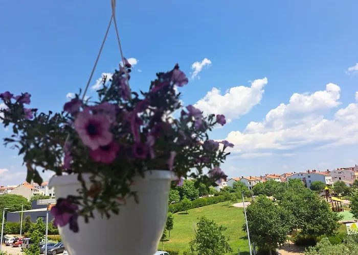 Battistella\'S Near The Sea