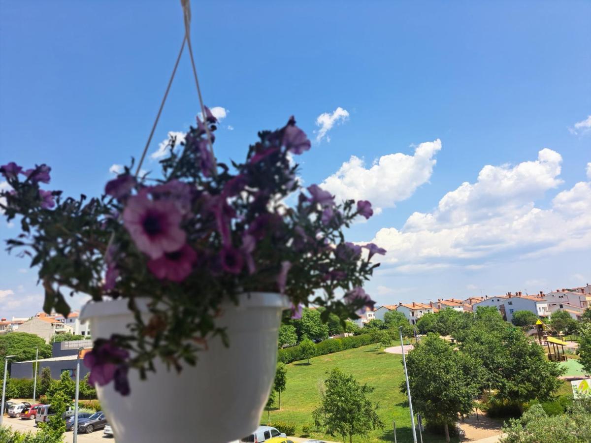 Apartma Battistella's Near The Sea